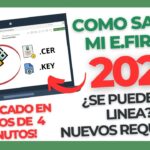 Aprende Fácilmente Cuáles Son Los Requisitos Para Obtener Tu e Firma Si Eres Persona Física