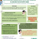 Aprende Fácilmente Qué Necesitas Para Tramitar tu Seguro de Estudiante IMSS