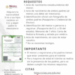 Cómo Tramitar CURP de Recién Nacido: Guía Completa para Padres