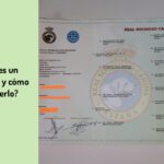 Cómo Tramitar el Pedigree de mi Perro en Perú: Guía Completa