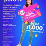 Cómo Tramitar la Tarjeta Rosa para Madres Solteras en [País/Región]