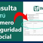Cómo Tramitar Tu Número de Seguro Social: Guía Completa y Paso a Paso