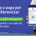 Convertirse en Distribuidor de Vales de Crédito: Requisitos y Pasos Clave