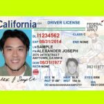 ¿Cuáles son los requisitos esenciales para tramitar mi licencia de conducir por primera vez?