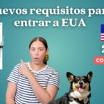 ¿Cuáles son los requisitos importantes para poder llevar a tu perro a Estados Unidos?