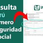 Guía Completa para Trámites de Asignación o Localización de NSS