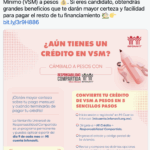 Guía Completa: Requisitos para Cambiar de VSM a Pesos