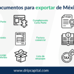 Guía Completa: Requisitos para Exportar en México con el SAT