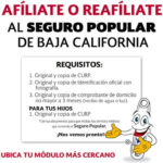 Qué Documentos Necesito para Tramitar el Seguro Popular: Guía Completa