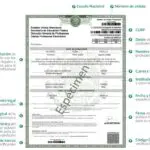 ¿Qué necesito para tramitar mi cédula profesional ante la SEP de manera fácil y rápida?