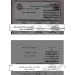 Requisitos para Cambiar el Apellido Paterno en México: Una Guía Completa