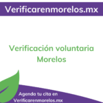 Requisitos para Cambio de Propietario en Morelos: Guía Completa