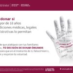Requisitos para Donar un Riñón en México: Guía Completa