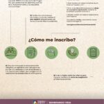 Requisitos para el Programa Sembrando Vida: Una Guía Completa