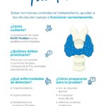 Requisitos para Hacer un Examen de Tiroides: Guía Completa