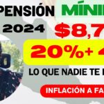 Requisitos para la Pensión Mínima Garantizada Ley 73: Guía Completa