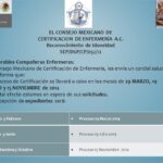 Requisitos para la Profesionalización en Enfermería: Guía Completa