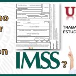 Requisitos para Obtener la Hoja Rosa del IMSS: Guía Completa