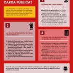 Requisitos para Obtener Seguro de Desempleo Gubernamental: Una Guía Completa