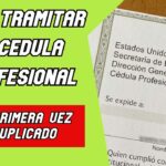 Requisitos para Obtener tu Cédula Profesional Estatal en Sonora