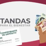 Requisitos para Recibir la Tanda del Bienestar: Una Guía Completa