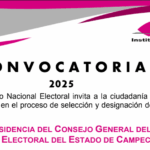 Requisitos para Ser Consejero del INE: Guía Completa