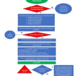 Requisitos para Ser Coordinador de Seguridad Privada: Una Guía Completa