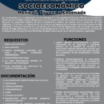 Requisitos para Ser Ministerial en Mexicali: Una Guía Completa