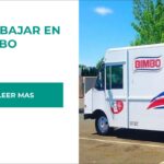 Requisitos para Trabajar como Chofer en Bimbo: Una Guía Completa