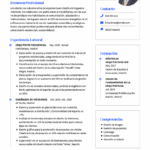 Requisitos para una Foto de Perfil Profesional Impecable