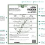 Tramitar Cédula Profesional por Internet: Guía Completa y Paso a Paso