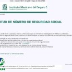 Tramitar Número de Seguro Social por Primera Vez: Guía Completa